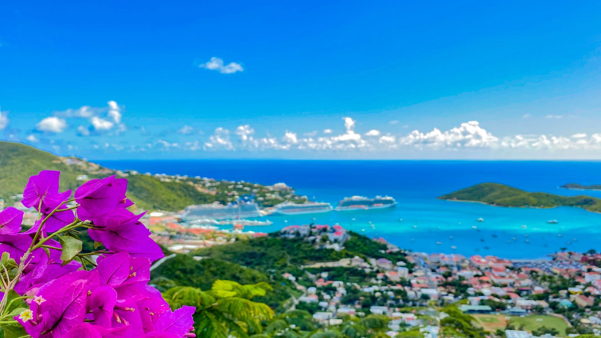 Harnessing the Power of Technology in the Maritime Sector