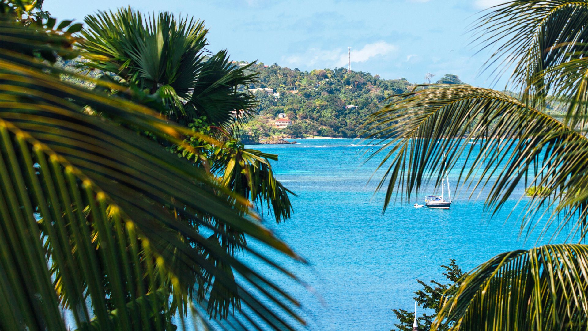 Importance of Impact Assessments